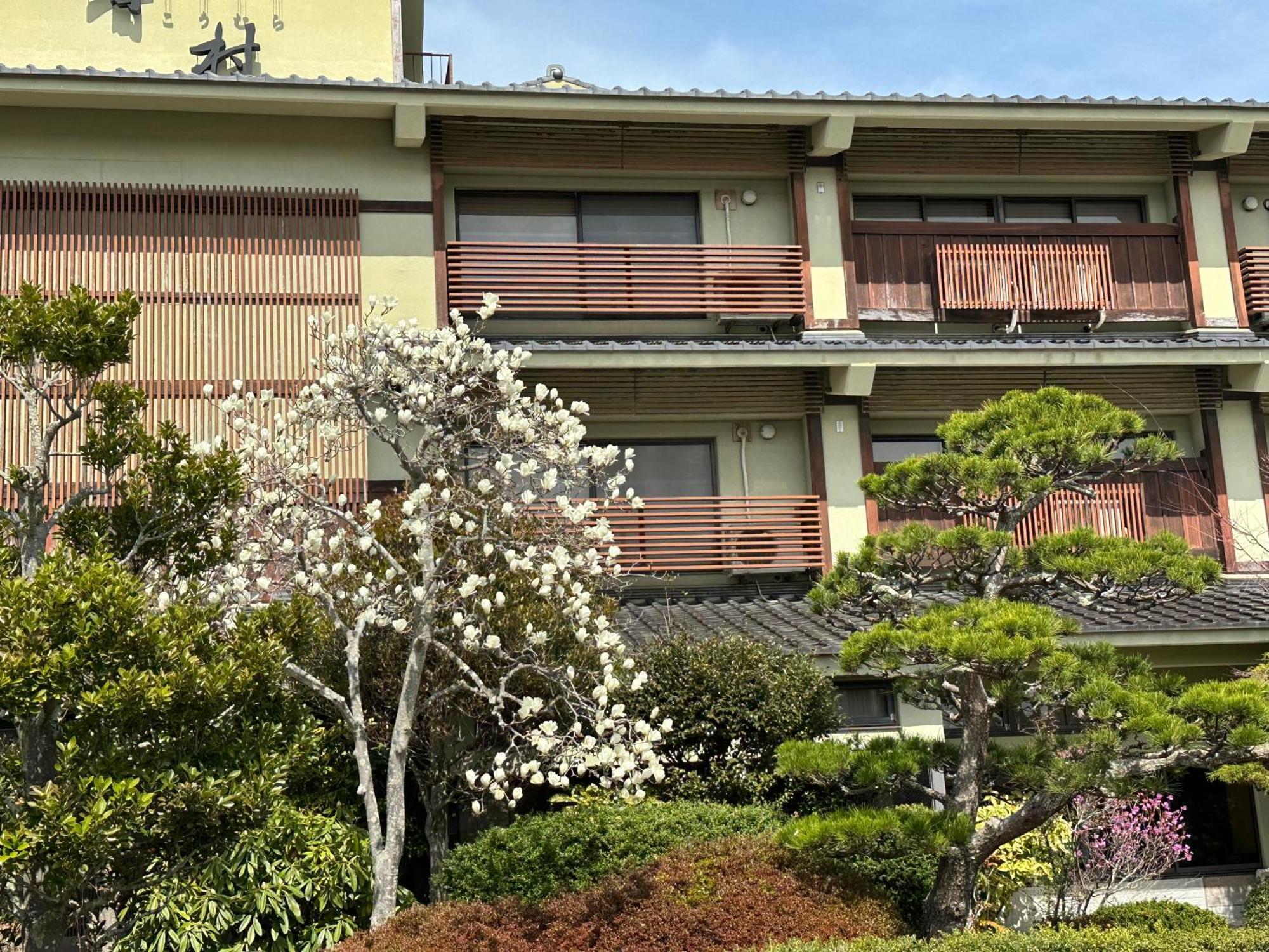 Matsushima Koumura ภายนอก รูปภาพ
